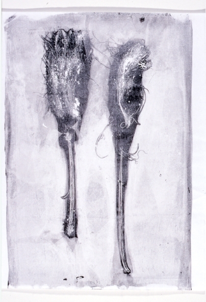 Two Paintbrushes